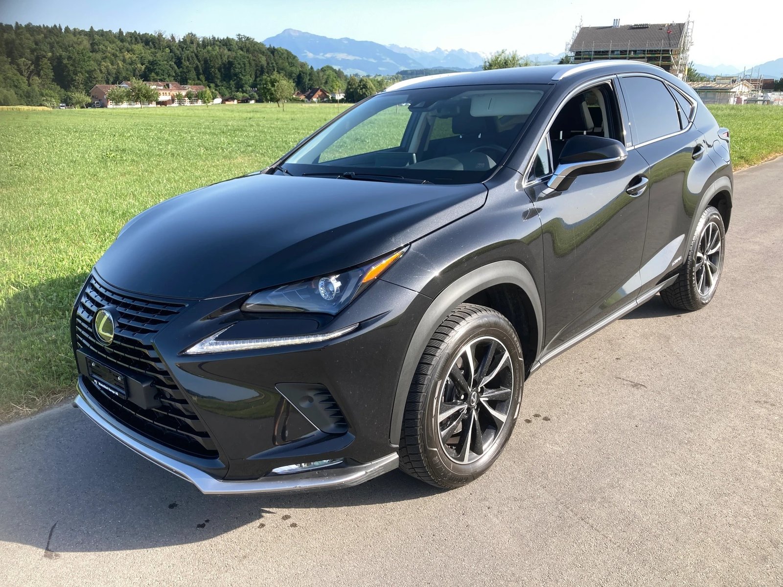 LEXUS NX 300h Celebrating 30 E-Four Automatic