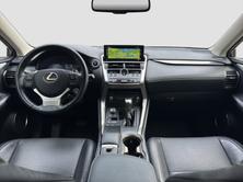 LEXUS NX 300h Comfort E-Four Automatic, Hybride Integrale Benzina/Elettrica, Occasioni / Usate, Automatico - 4