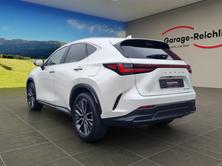 LEXUS NX 450h+ Excellence, Plug-in-Hybrid Benzin/Elektro, Occasion / Gebraucht, Automatik - 3