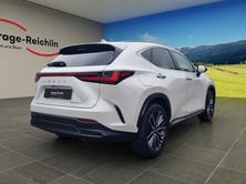LEXUS NX 450h+ Excellence, Plug-in-Hybrid Benzin/Elektro, Occasion / Gebraucht, Automatik - 5
