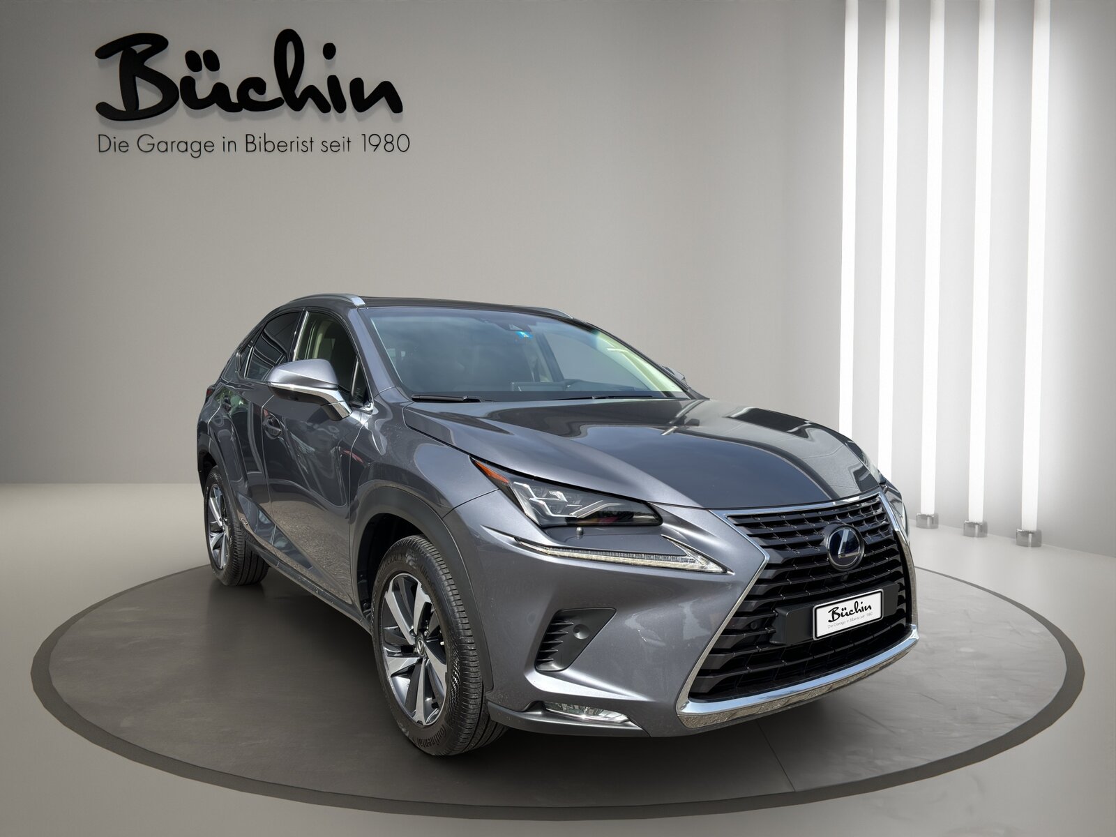 LEXUS NX 300h Excellence E-Four Automatic