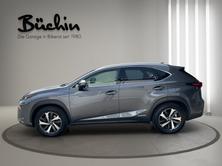 LEXUS NX 300h Excellence E-Four Automatic, Hybride Intégral Essence/Électricité, Occasion / Utilisé, Automatique - 4