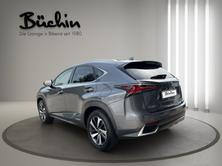 LEXUS NX 300h Excellence E-Four Automatic, Hybride Intégral Essence/Électricité, Occasion / Utilisé, Automatique - 5