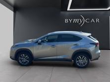 LEXUS NX 300h comfort E-Four Automatic, Benzina, Occasioni / Usate, Automatico - 3