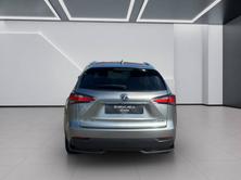 LEXUS NX 300h comfort E-Four Automatic, Benzina, Occasioni / Usate, Automatico - 4