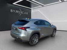 LEXUS NX 300h comfort E-Four Automatic, Benzina, Occasioni / Usate, Automatico - 5