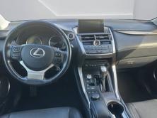 LEXUS NX 300h comfort E-Four Automatic, Benzina, Occasioni / Usate, Automatico - 6