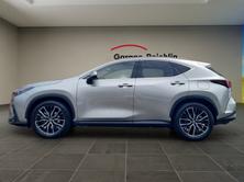 LEXUS NX 450h+ Excellence, Plug-in-Hybrid Benzina/Elettrica, Occasioni / Usate, Automatico - 2