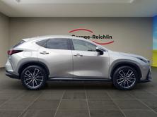 LEXUS NX 450h+ Excellence, Plug-in-Hybrid Benzina/Elettrica, Occasioni / Usate, Automatico - 6