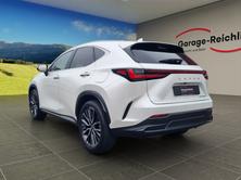LEXUS NX 450h+ Excellence, Plug-in-Hybrid Benzina/Elettrica, Occasioni / Usate, Automatico - 3