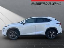 LEXUS NX 300h, Hybride Intégral Essence/Électricité, Occasion / Utilisé, Automatique - 2