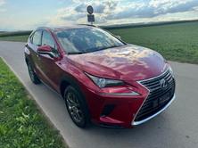 LEXUS NX 300h Impression E-Four Automatic, Voll-Hybrid Benzin/Elektro, Occasion / Gebraucht, Automatik - 2