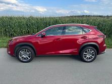 LEXUS NX 300h Impression E-Four Automatic, Voll-Hybrid Benzin/Elektro, Occasion / Gebraucht, Automatik - 3