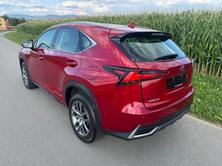 LEXUS NX 300h Impression E-Four Automatic, Voll-Hybrid Benzin/Elektro, Occasion / Gebraucht, Automatik - 4