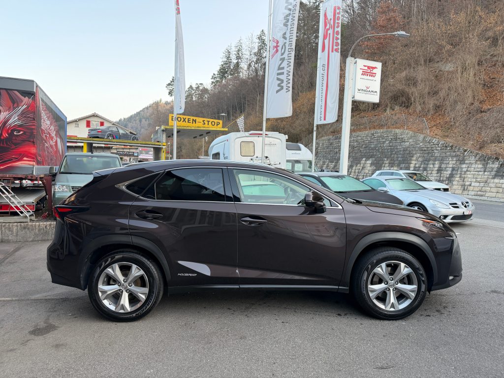 LEXUS NX 300h Excellence, Hybride Integrale Benzina/Elettrica, Occasioni / Usate, Automatico - 6