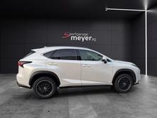 LEXUS NX 200t Comfort, Benzina, Occasioni / Usate, Automatico - 5