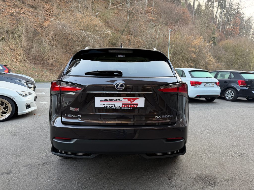 LEXUS NX 300h Excellence, Hybride Integrale Benzina/Elettrica, Occasioni / Usate, Automatico - 4