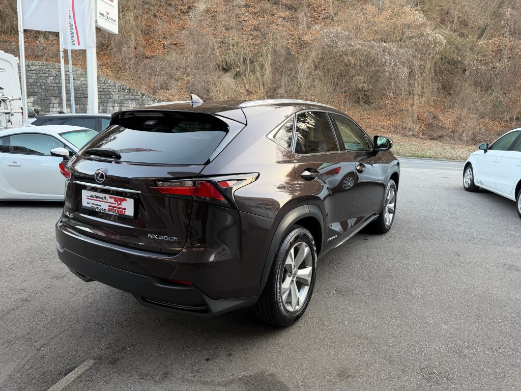LEXUS NX 300h Excellence, Hybride Integrale Benzina/Elettrica, Occasioni / Usate, Automatico - 5
