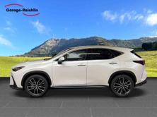 LEXUS NX 350h excellence AWD, Auto nuove, Automatico - 2