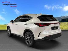 LEXUS NX 350h excellence AWD, New car, Automatic - 3