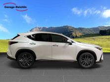 LEXUS NX 350h excellence AWD, Auto nuove, Automatico - 6