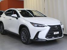LEXUS NX 450h+ E-FOUR Comfort, Plug-in-Hybrid Benzina/Elettrica, Auto nuove, Automatico - 2