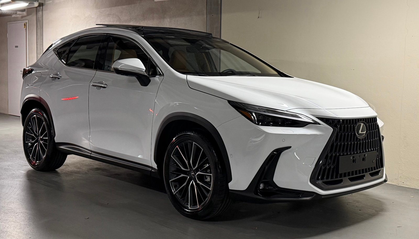LEXUS NX 450h+ E-FOUR Excellence