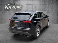 LEXUS NX 200t excellence AWD Automatic, Benzina, Occasioni / Usate, Automatico - 6