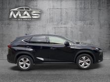 LEXUS NX 200t excellence AWD Automatic, Benzina, Occasioni / Usate, Automatico - 7