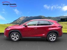 LEXUS NX 300h excellence AWD, Second hand / Used, Automatic - 5