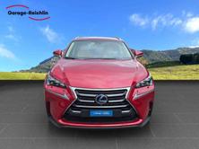 LEXUS NX 300h excellence AWD, Occasioni / Usate, Automatico - 7