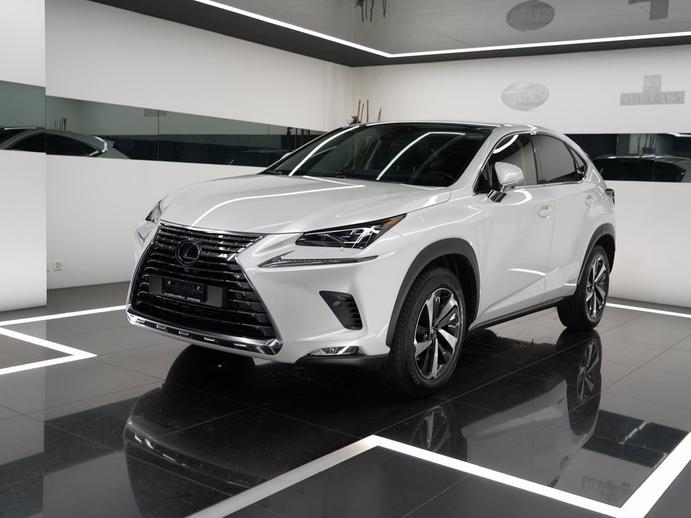 LEXUS NX 300h Excellence, Occasioni / Usate, Automatico