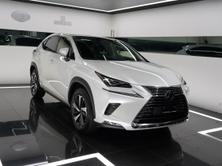 LEXUS NX 300h Excellence, Occasioni / Usate, Automatico - 2
