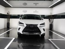 LEXUS NX 300h Excellence, Occasioni / Usate, Automatico - 3