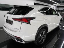 LEXUS NX 300h Excellence, Occasioni / Usate, Automatico - 4