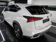 LEXUS NX 300h Excellence, Occasioni / Usate, Automatico - 5