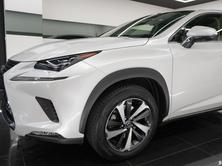 LEXUS NX 300h Excellence, Occasioni / Usate, Automatico - 6