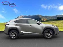 LEXUS NX 300h comfort AWD, Second hand / Used, Automatic - 6