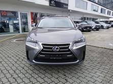 LEXUS NX 300h Comfort, Hybride Integrale Benzina/Elettrica, Occasioni / Usate, Automatico - 2