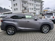 LEXUS NX 300h Comfort, Hybride Integrale Benzina/Elettrica, Occasioni / Usate, Automatico - 4