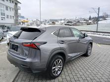 LEXUS NX 300h Comfort, Hybride Integrale Benzina/Elettrica, Occasioni / Usate, Automatico - 5