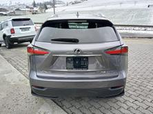 LEXUS NX 300h Comfort, Hybride Integrale Benzina/Elettrica, Occasioni / Usate, Automatico - 6