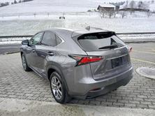 LEXUS NX 300h Comfort, Hybride Integrale Benzina/Elettrica, Occasioni / Usate, Automatico - 7