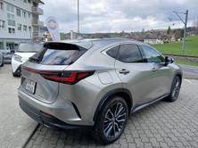 LEXUS NX 450h+ Excellence, Plug-in-Hybrid Benzin/Elektro, Occasion / Gebraucht, Automat - 5