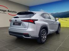 LEXUS NX 300h comfort AWD, Hybride Integrale Benzina/Elettrica, Occasioni / Usate, Automatico - 5