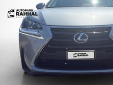 LEXUS NX 300h Comfort, Hybride Integrale Benzina/Elettrica, Occasioni / Usate, Automatico - 4
