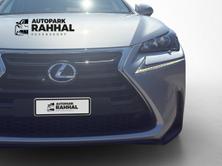 LEXUS NX 300h Comfort, Hybride Integrale Benzina/Elettrica, Occasioni / Usate, Automatico - 5