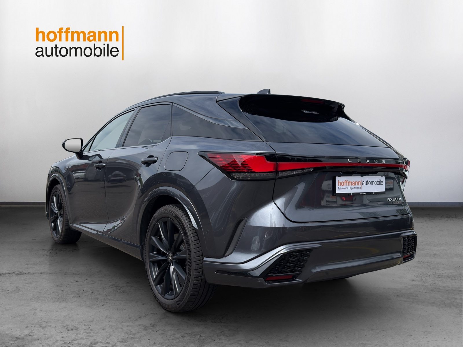 LEXUS RX 500h F Sport AWD, Benzina, Occasioni / Usate, Automatico - 6