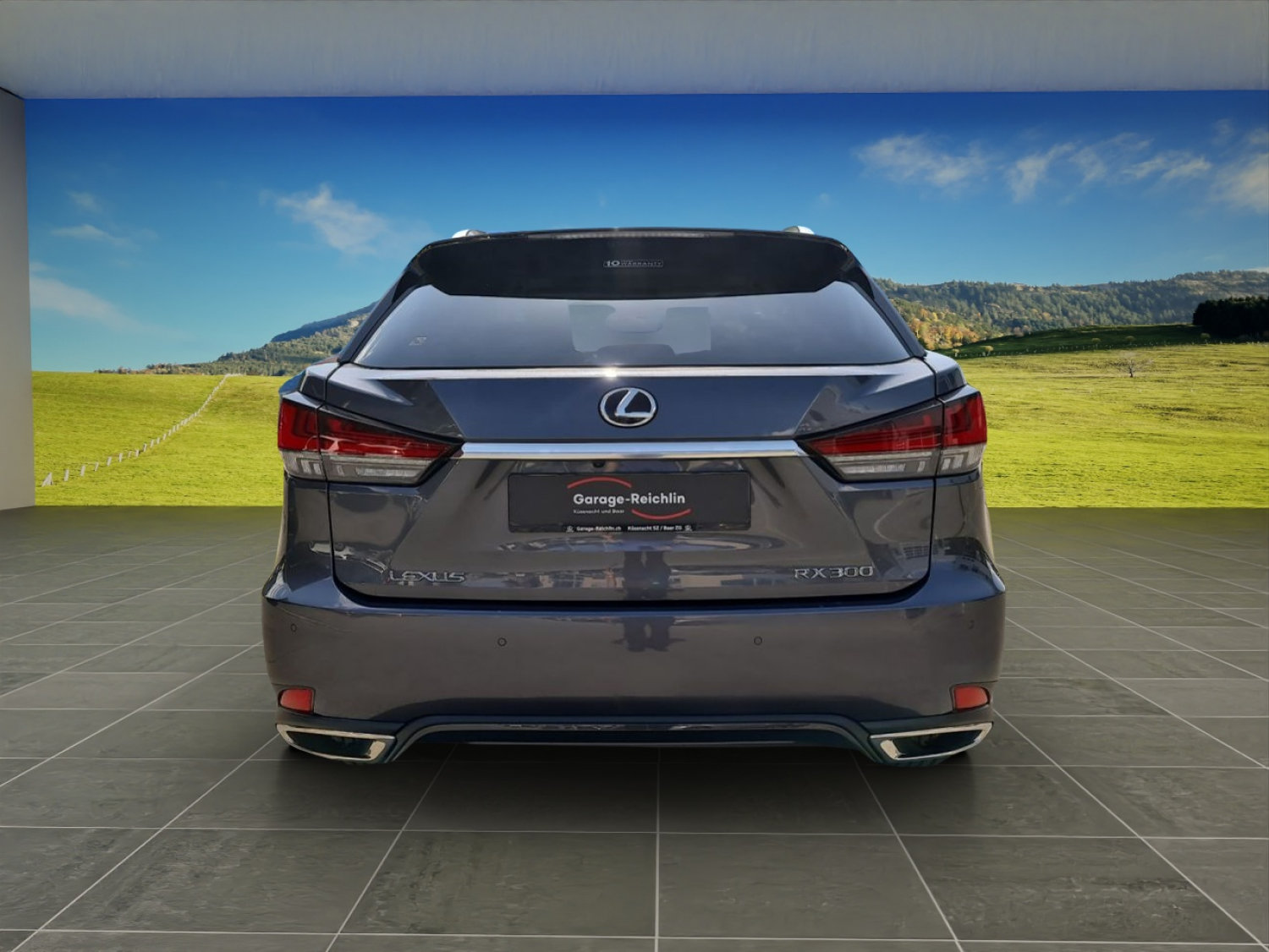 LEXUS RX 300 Special Edition, Essence, Occasion / Utilisé, Automatique - 4