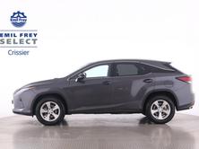 LEXUS RX 300 Special Edition, Benzin, Occasion / Gebraucht, Automatik - 4